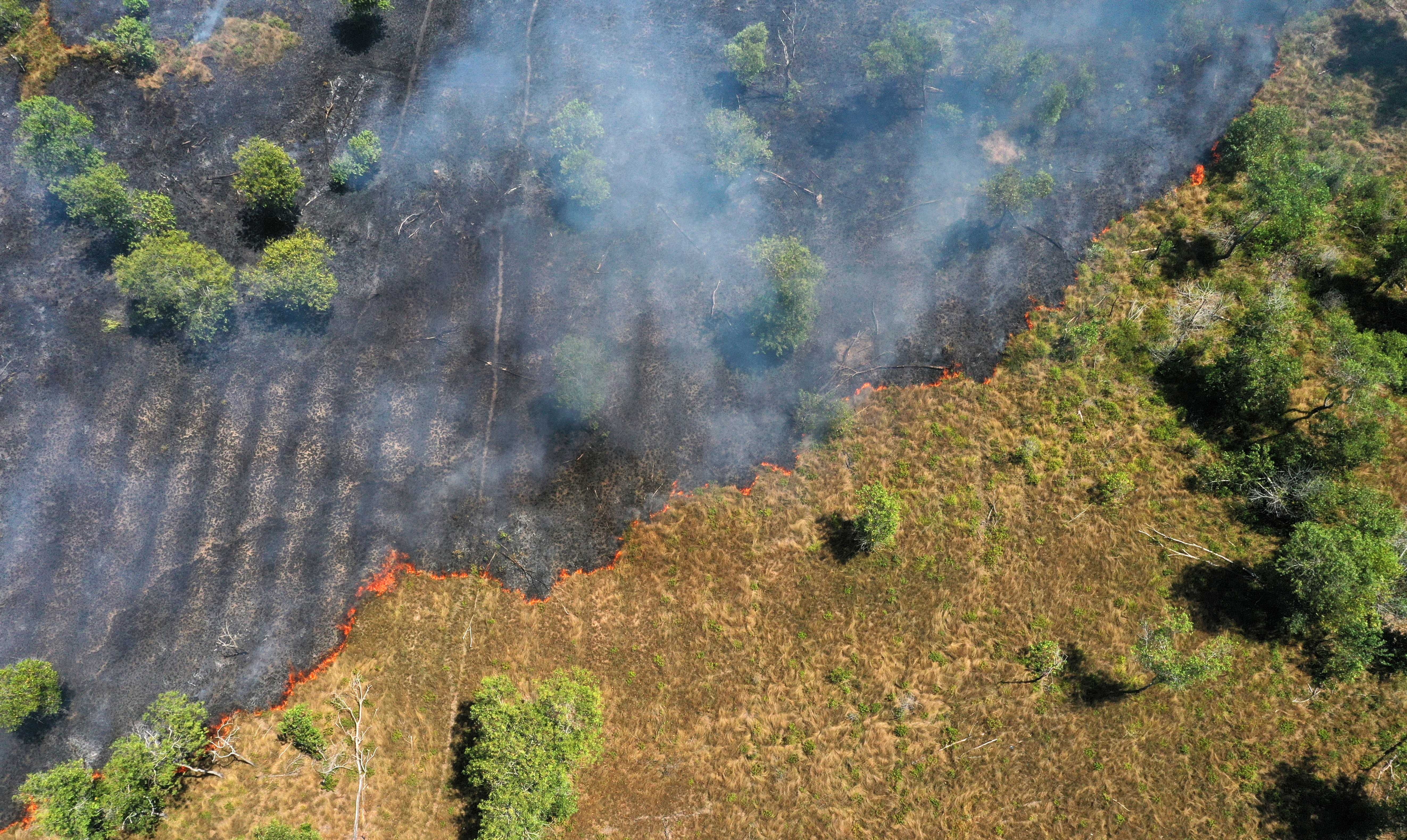 Amazônia registra menor índice de alertas de desmatamento em uma década