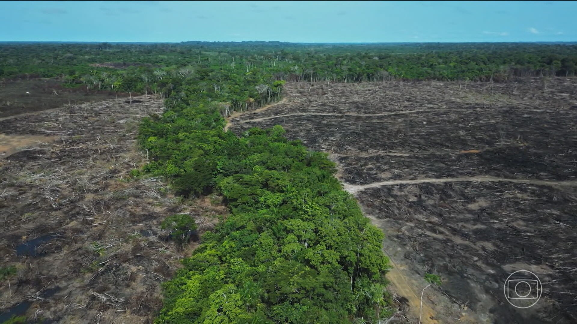 Câmara aprova pacote ruralista que fragiliza fiscalização ambiental