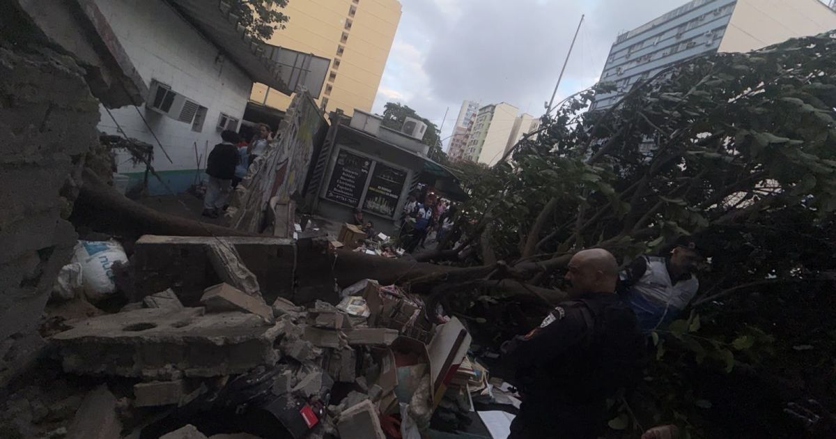 Fragilidade no fornecimento de energia expõe vulnerabilidade do sistema no Brasil