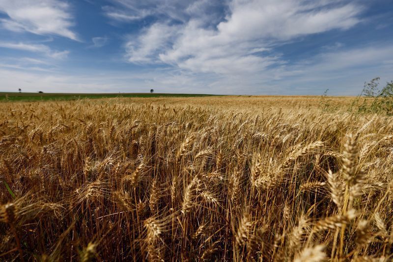 Análise de ESG se torna obrigatória para o seguro rural no Brasil