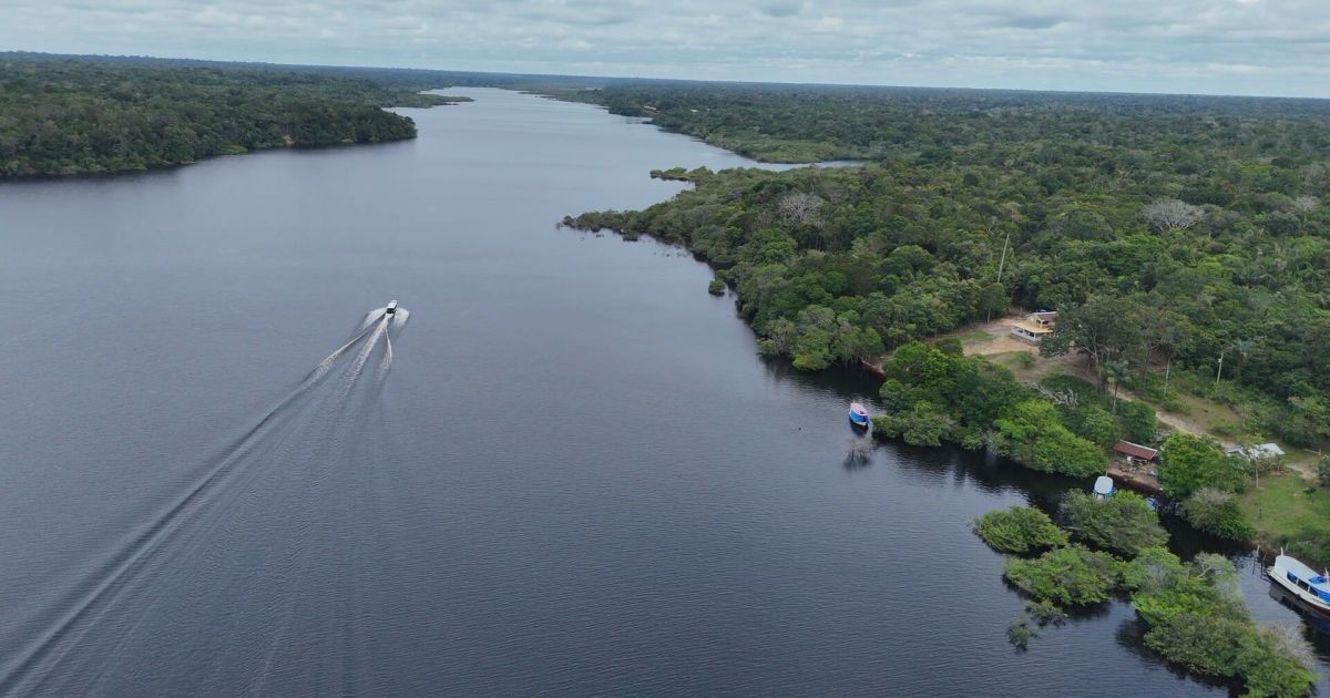 Amazônia em alerta: El Niño ameaça reverter queda do desmatamento