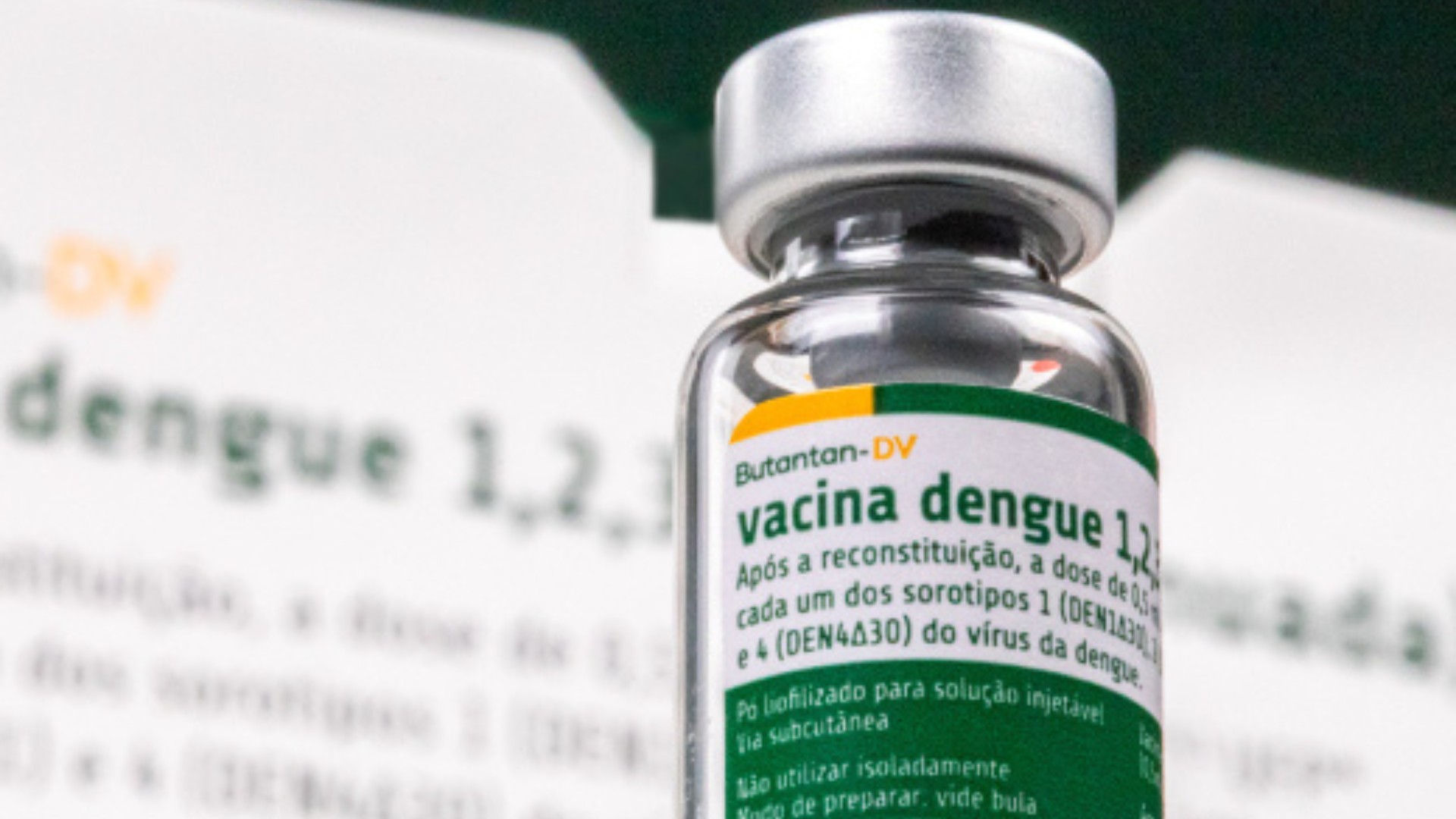 Anvisa cria grupo para investigar vacina da dengue do Butantan após relatos de mortes e eventos adversos graves