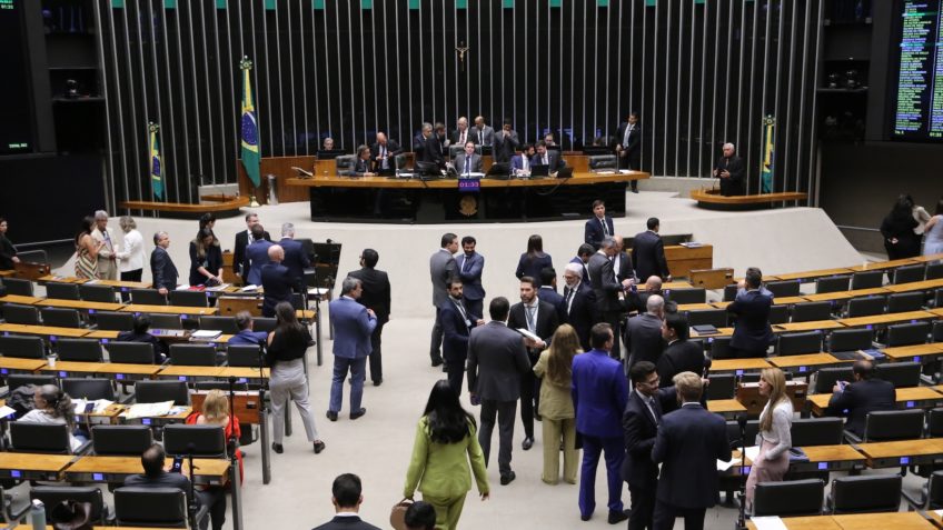 Câmara dos Deputados decide futuro de proteção a crianças e gestantes
