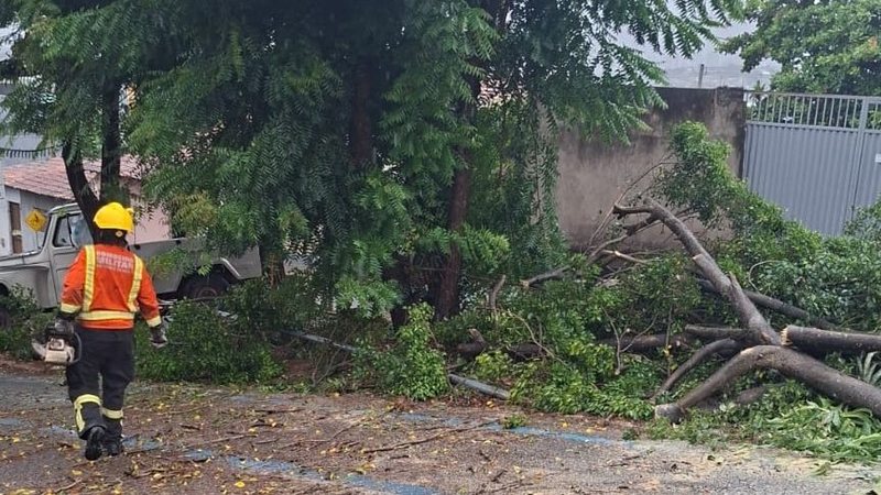 Corpo de Bombeiros remove árvore que interditava rua na Zona Oeste de Natal