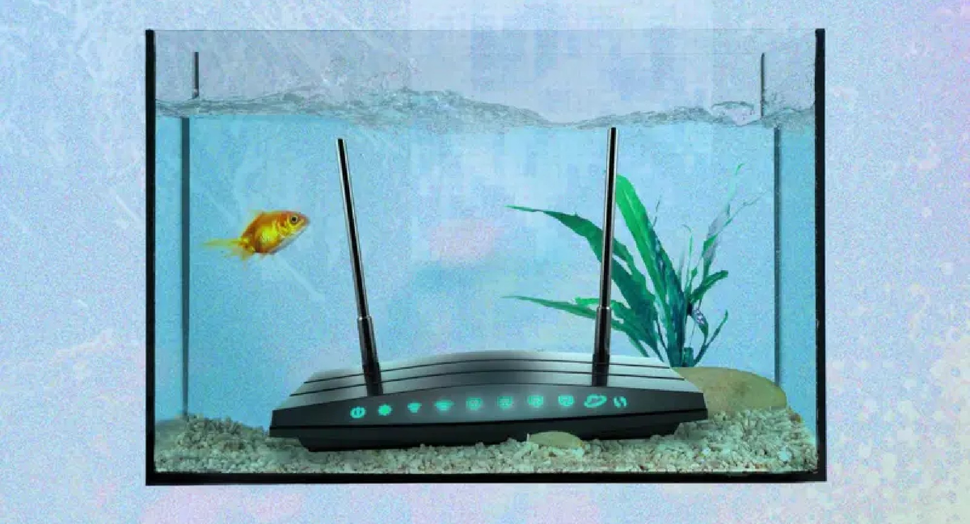 Os vilões domésticos que sabotam o sinal de Wi-Fi