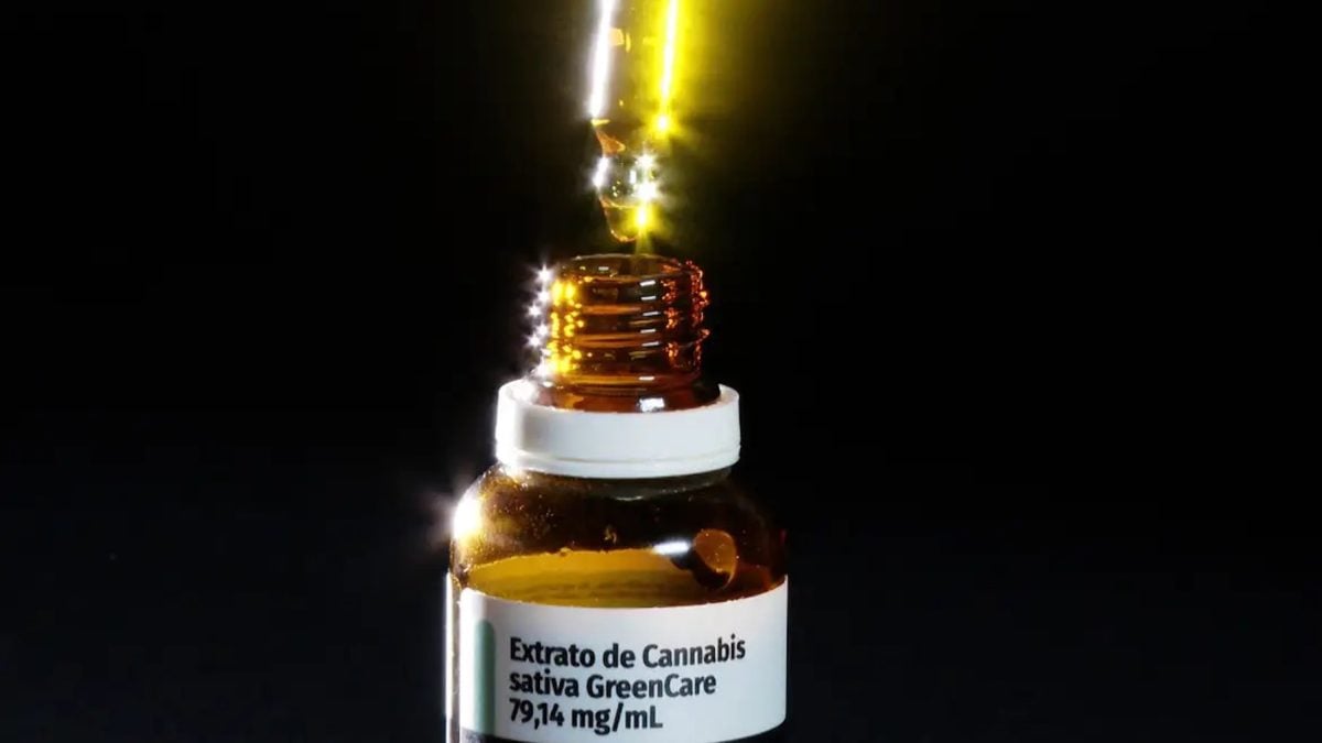 Autorizações para importação de cannabis medicinal crescem 29% em 2026