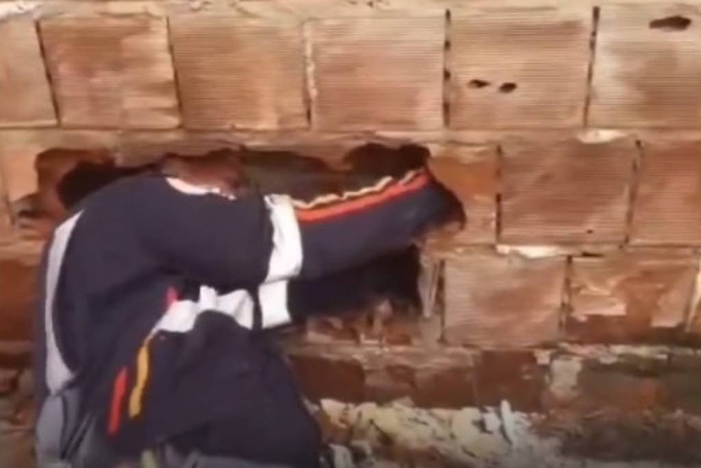 Justiça decide acolher adolescente que abandonou bebê em muro na Paraíba