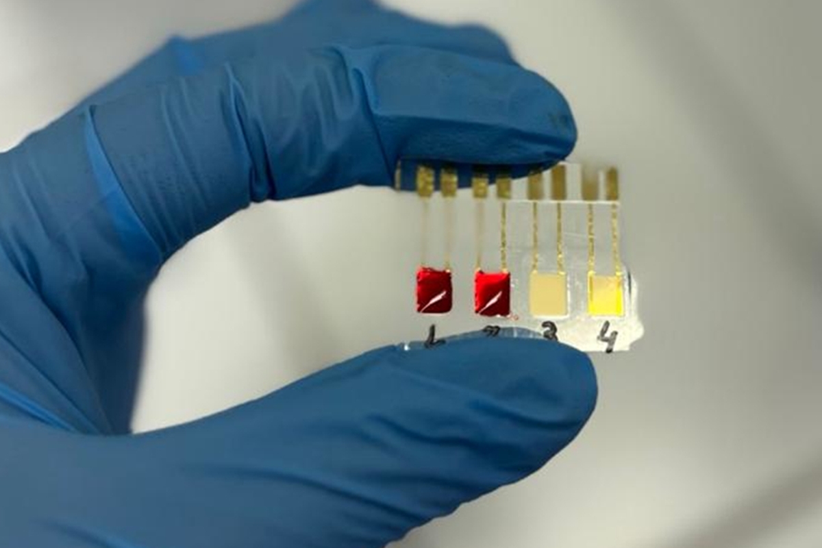 USP cria biossensor para detectar câncer de pâncreas em fase inicial