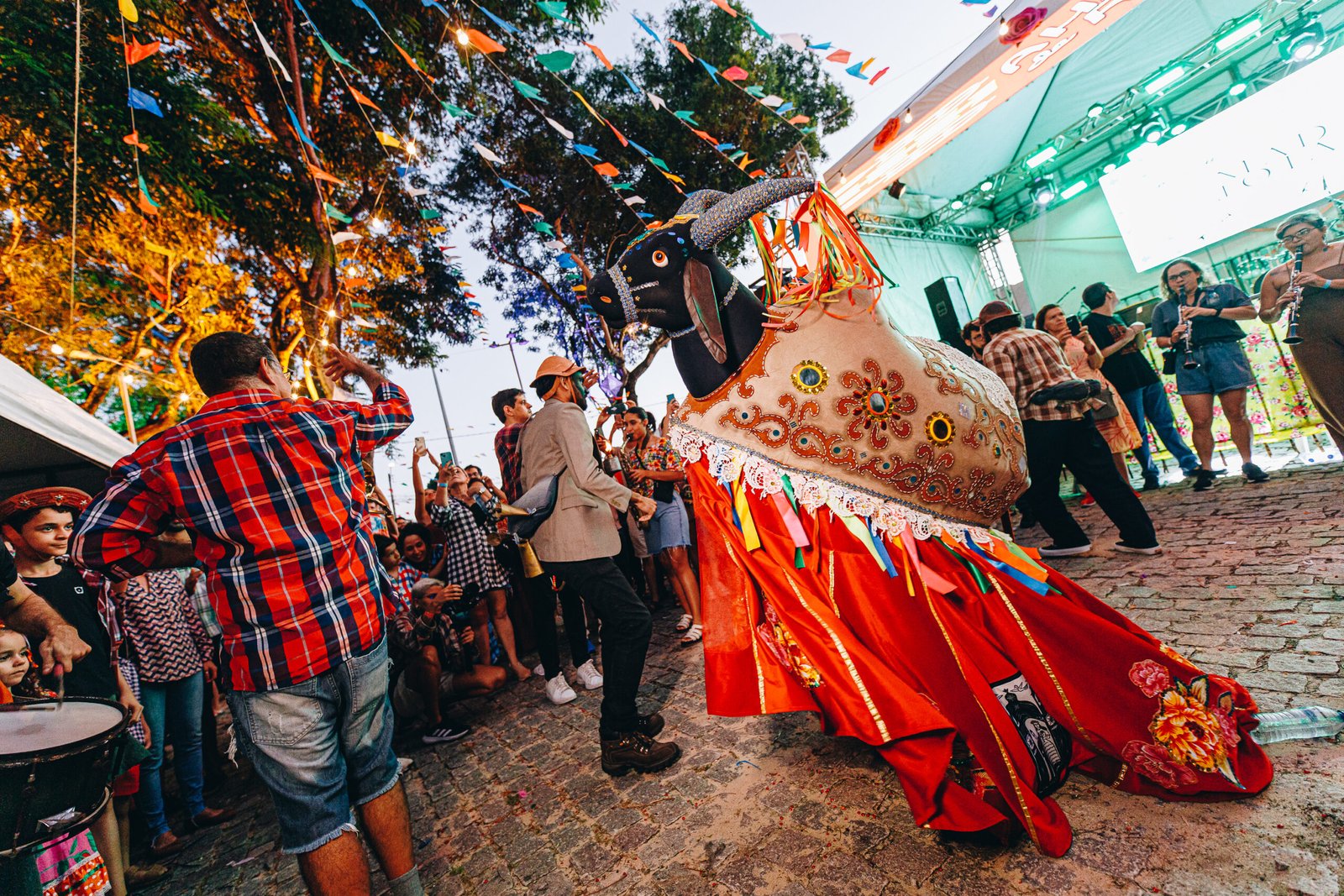 Boi Esmeralda anuncia ensaio aberto e cortejo pelas ruas da Potilândia