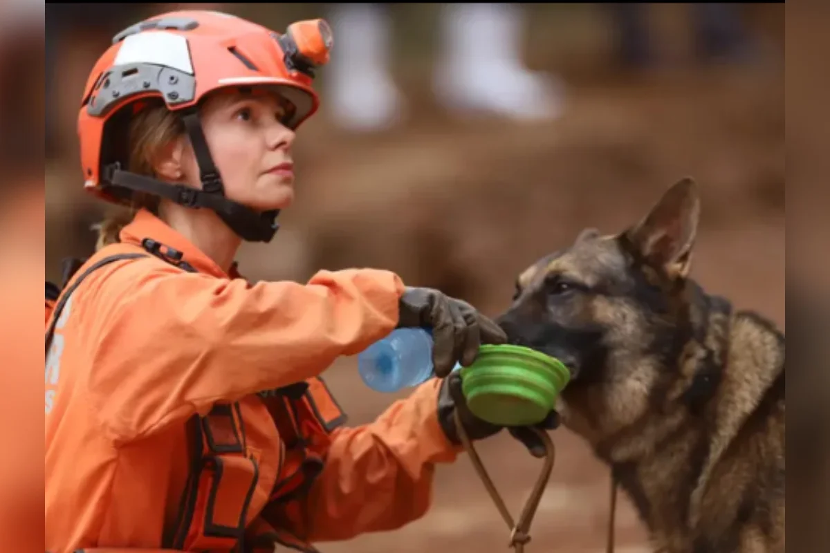 Corpo de Bombeiros Militar de Minas Gerais encerra missão humanitária na Venezuela