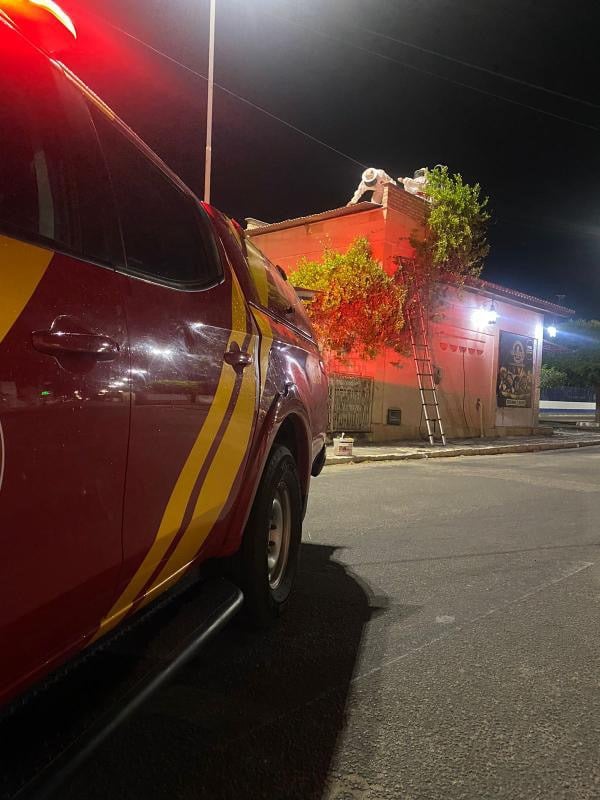 Corpo de Bombeiros remove enxame de abelhas em área rural de José da Penha