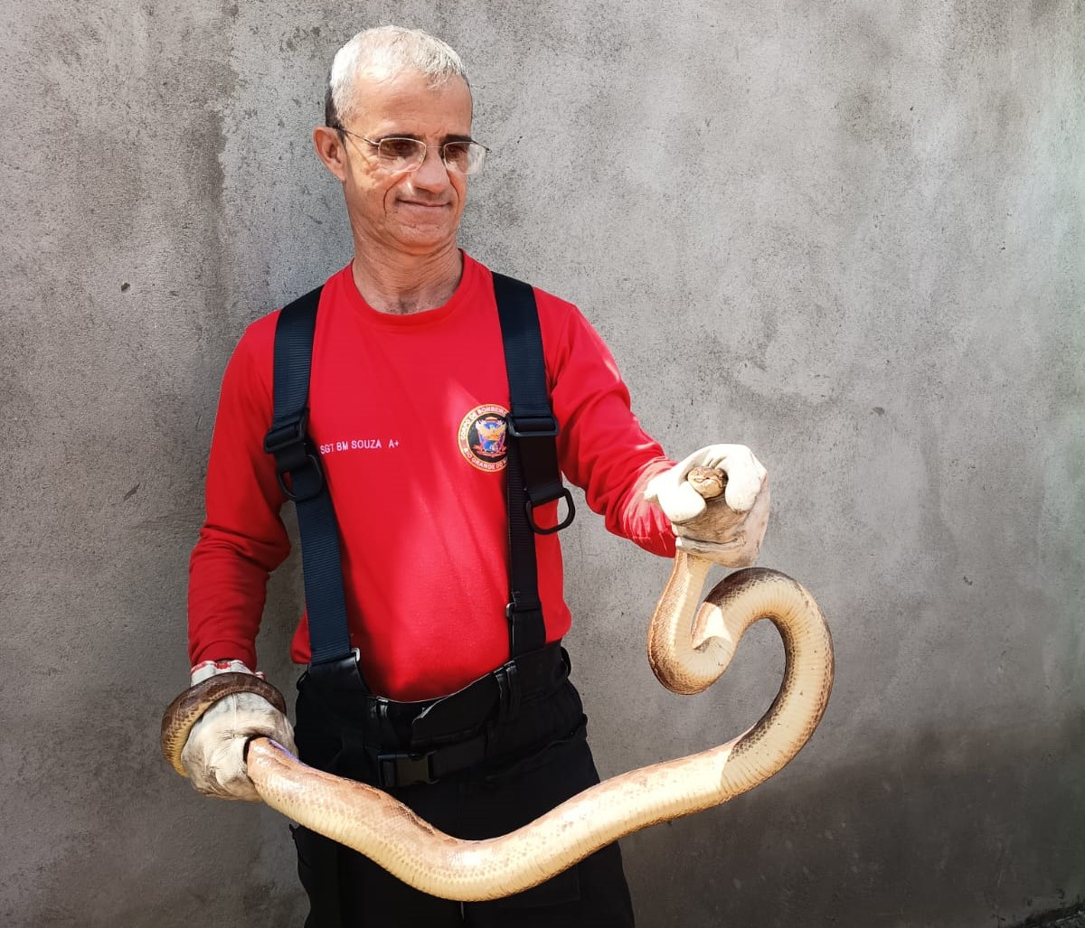 Corpo de Bombeiros resgata jiboia em comunidade na GrandeNatal