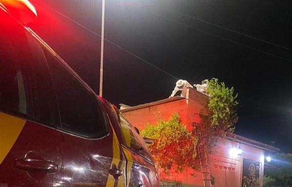 Bombeiros removem enxame de abelhas de caixa d’água em comunidade rural no RN