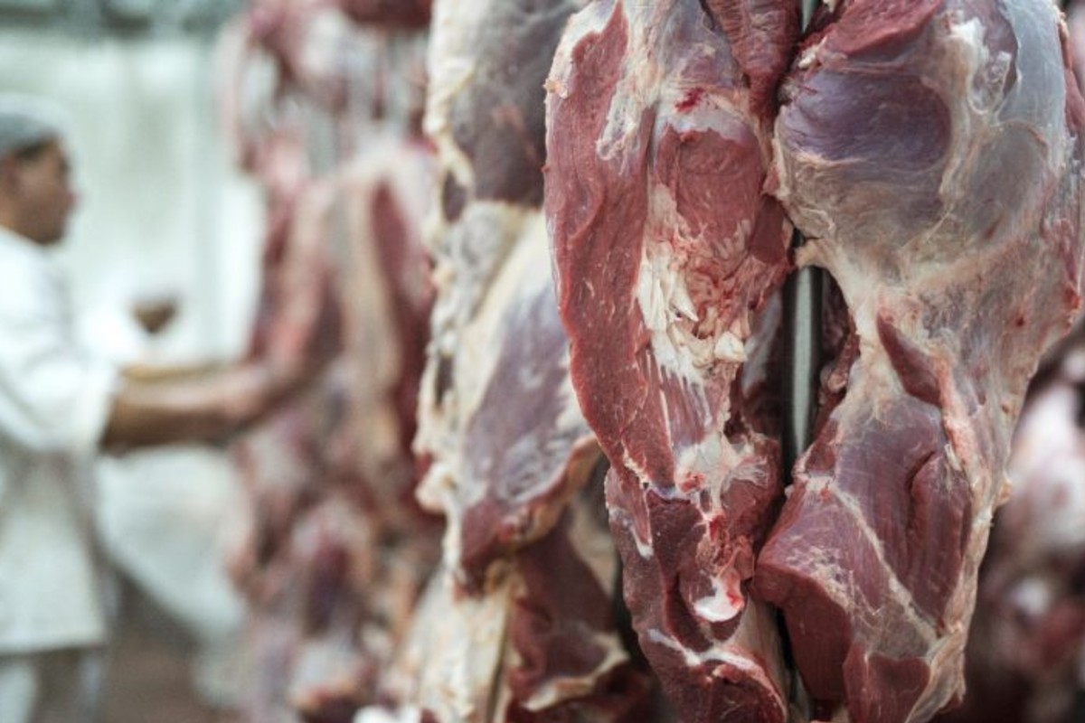 Brasil se aproxima do limite de cota para exportar carne à China em agosto, com queda no preço do boi gordo