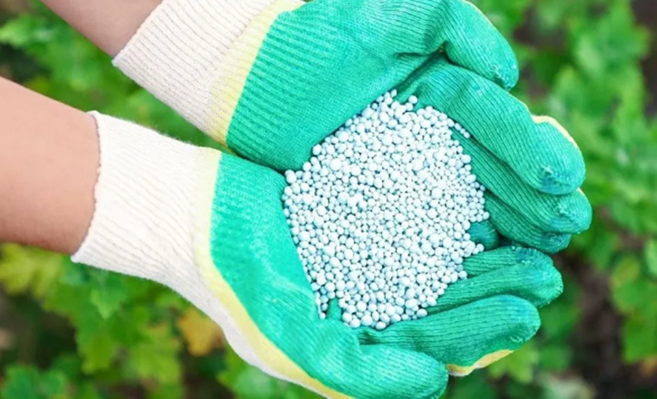 Brasil mira Cazaquistão para garantir fertilizantes