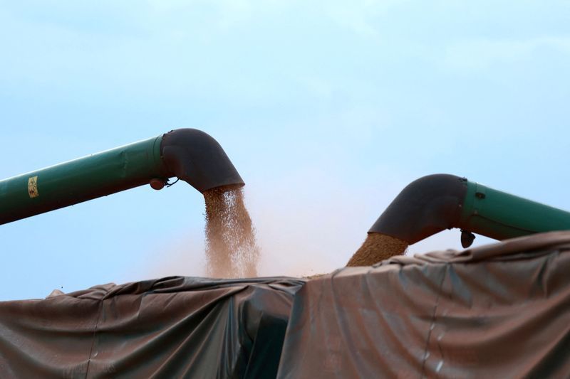 Governo federal minimiza impacto de acordos EUA-China no agro