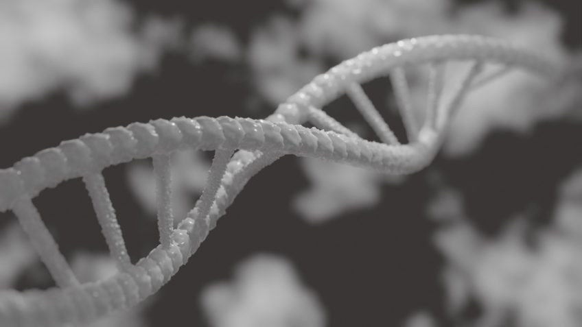 SUS incorpora sequenciamento de DNA para doenças raras