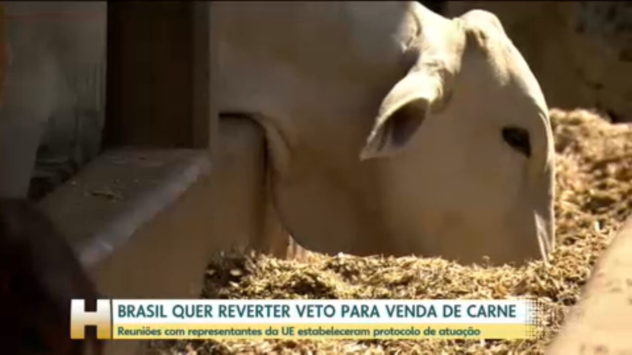 UE veta carne do Brasil; Governo busca reverter decisão