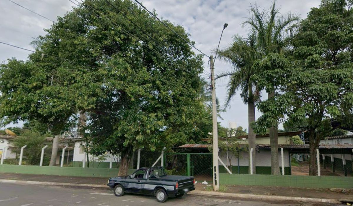Cachorro invade EMEF Profa. Flora Ferreira Gomes e fere duas crianças em Sumaré