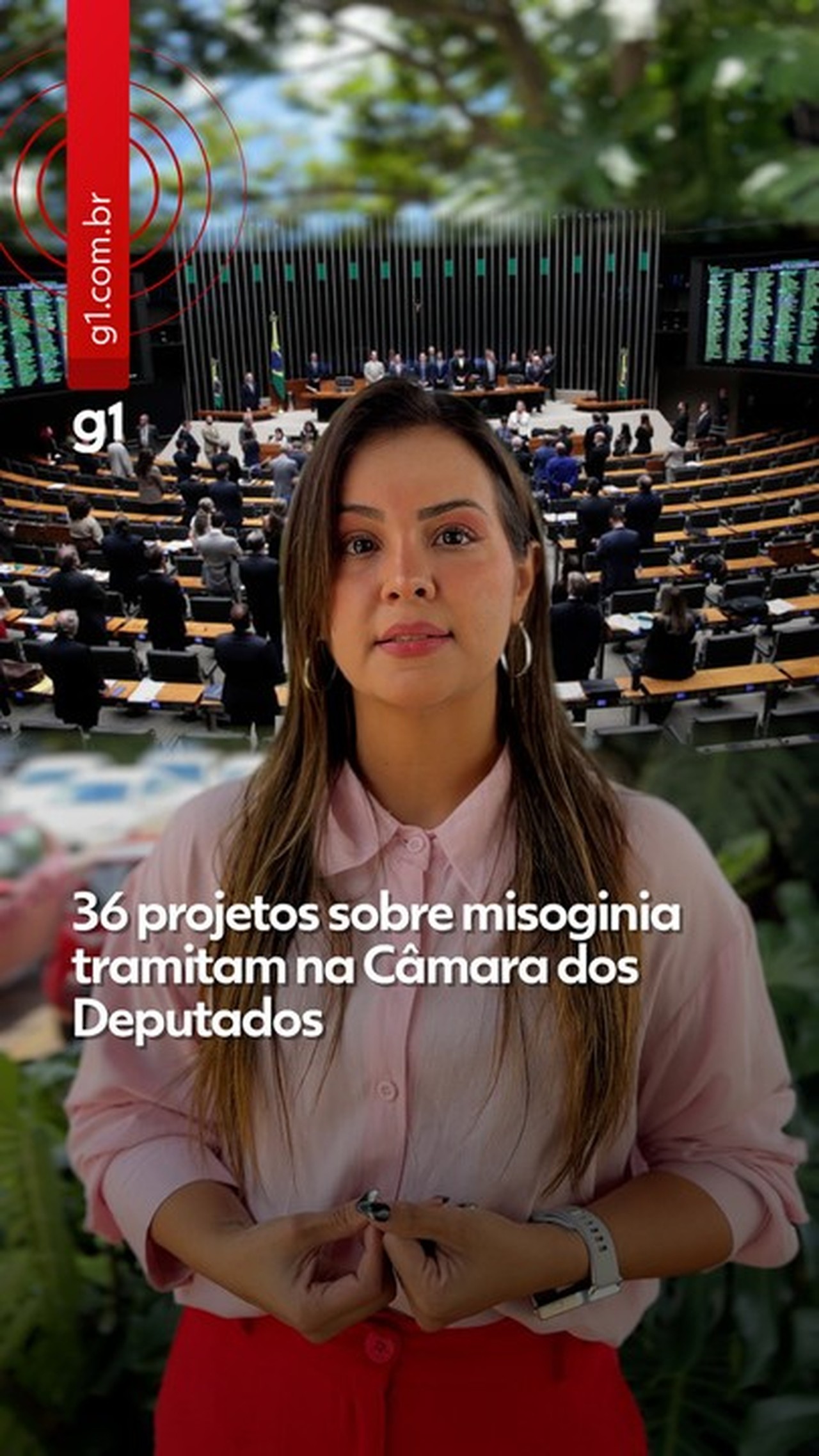Câmara pode votar nesta terça PL da Misoginia, que equipara crime ao racismo e prevê penas maiores