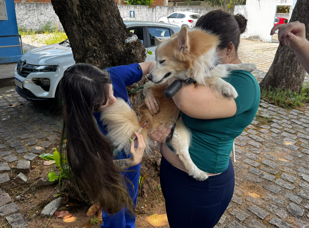 Natal divulga pontos de vacinação antirrábica para o próximo sábado, 4 de julho