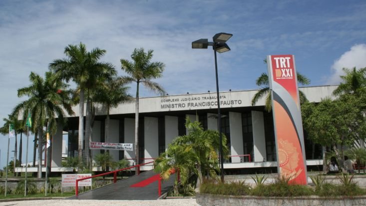 Animais invadem TRT-RN e geram crise de calor em Natal