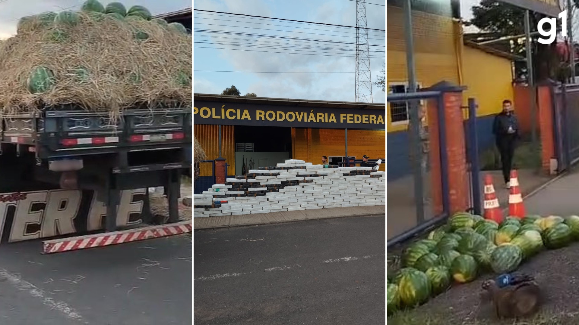 Polícia Rodoviária Federal apreende 2,5 toneladas de maconha na BR-386