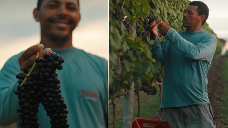 Casa 7 Evas consolida produção comercial de vinhos no Rio Grande do Norte