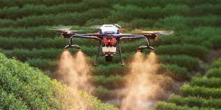 China impulsiona presença no agronegócio brasileiro com foco em tecnologia e parcerias