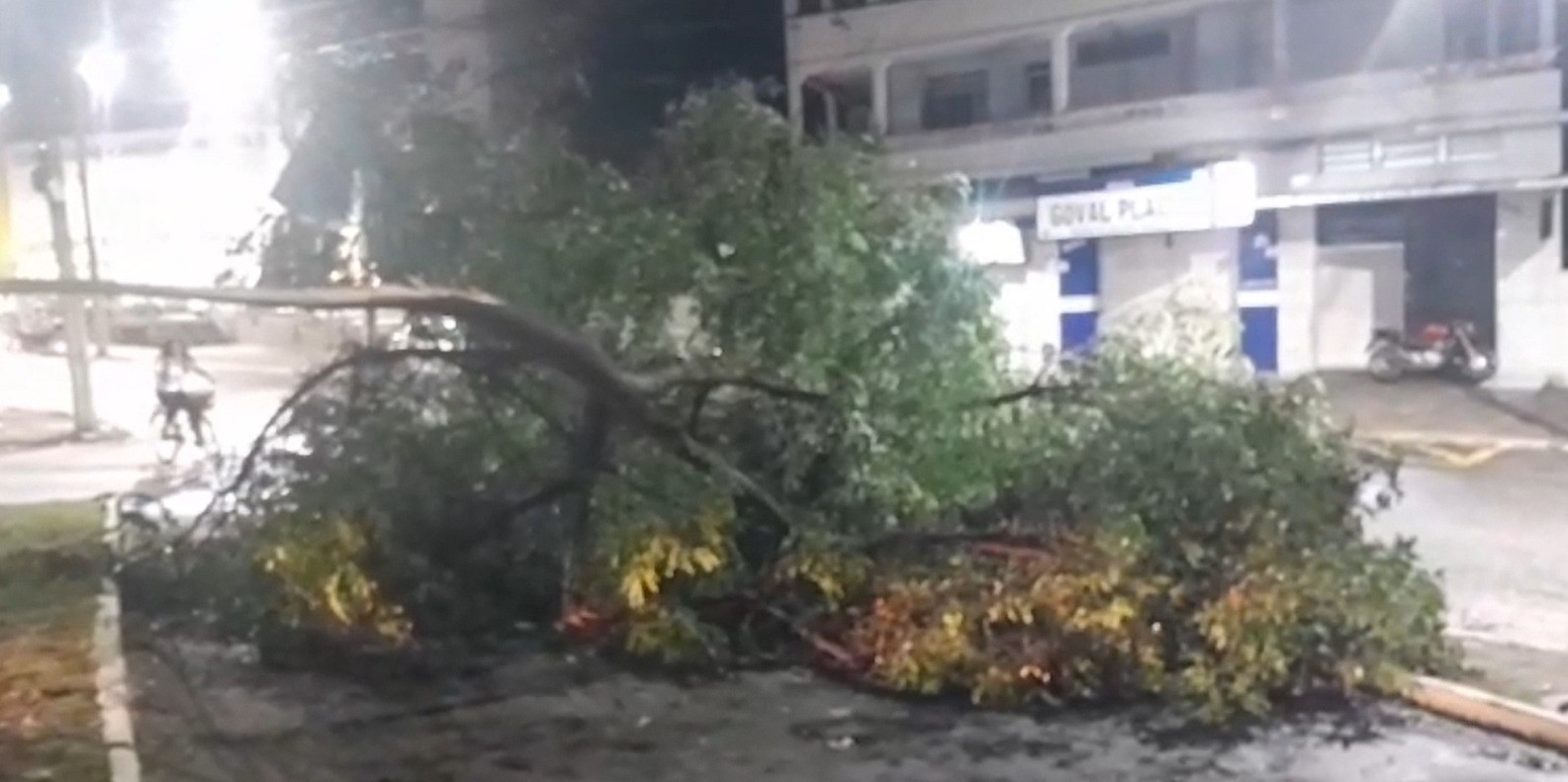 Chuva provoca destelhamentos e queda de árvores em Governador Valadares