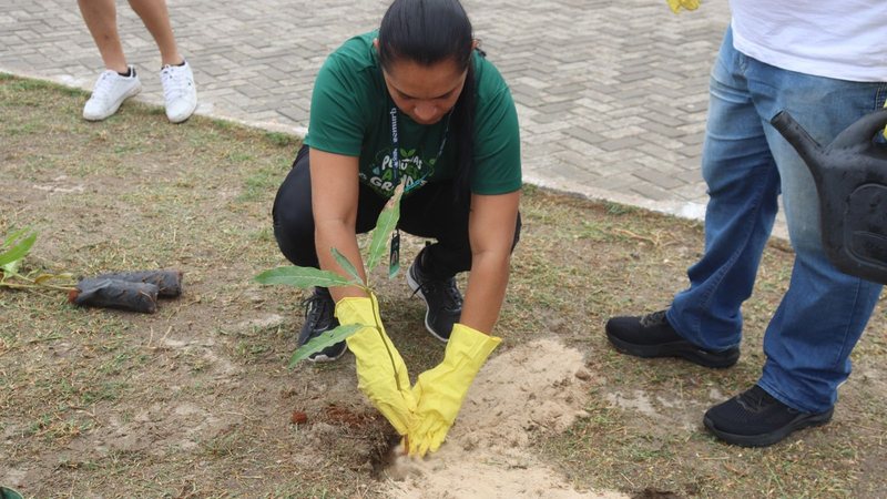Guamaré, RN, intensifica combate à desertificação com plantio de árvores nativas em praças públicas