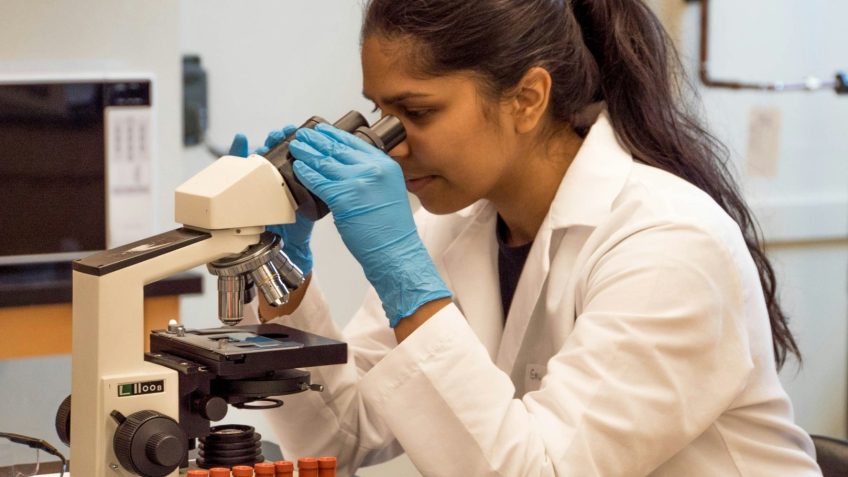 Cientistas propõem medidas urgentes para conter fungos resistentes a medicamentos