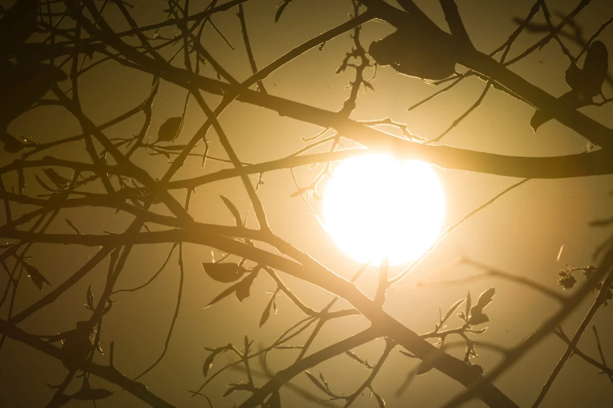 Brasil em Contraste Climático: Geada no Sul, Chuva no Nordeste e Calor Extremo no Norte