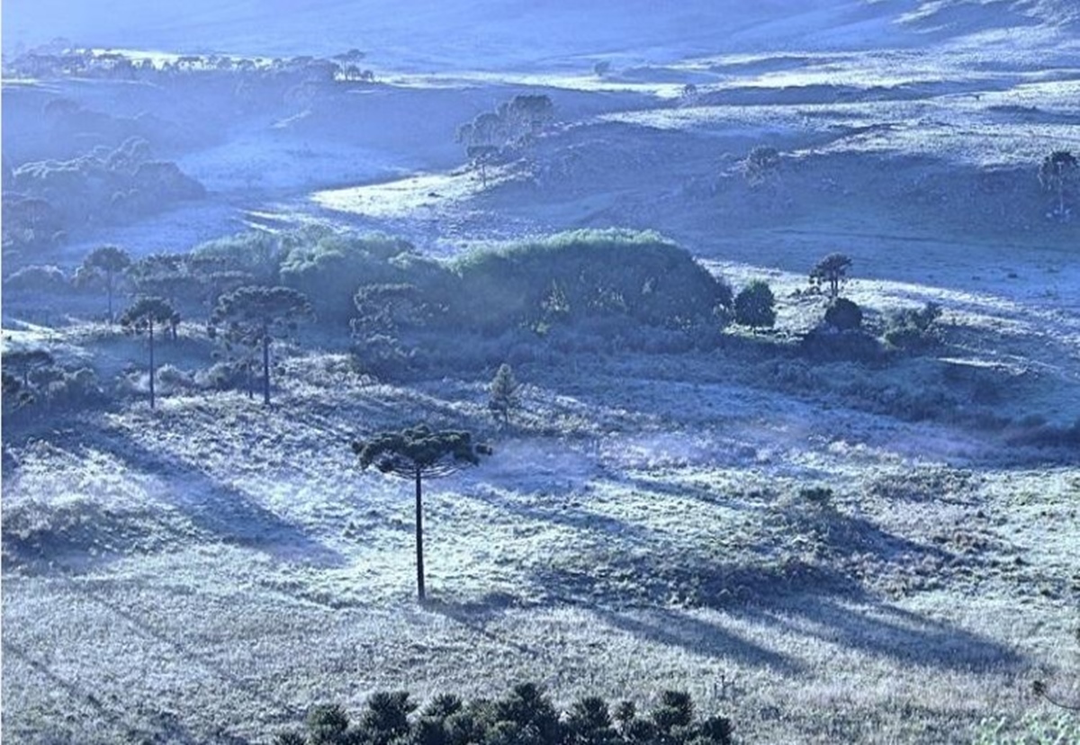 Frente fria derruba temperaturas e causa geadas no Sul nesta quinta-feira, 21/05/2026