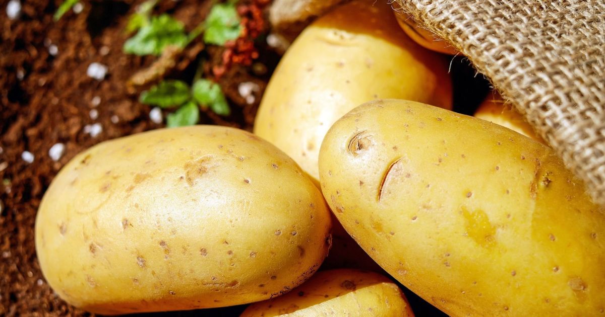 Inflação de alimentos sobe a 1,33% e alerta o agronegócio