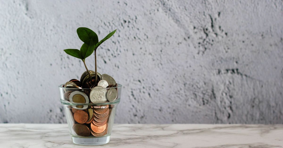 Pequenos negócios veem em sustentabilidade caminho para redução de custos e valorização da marca