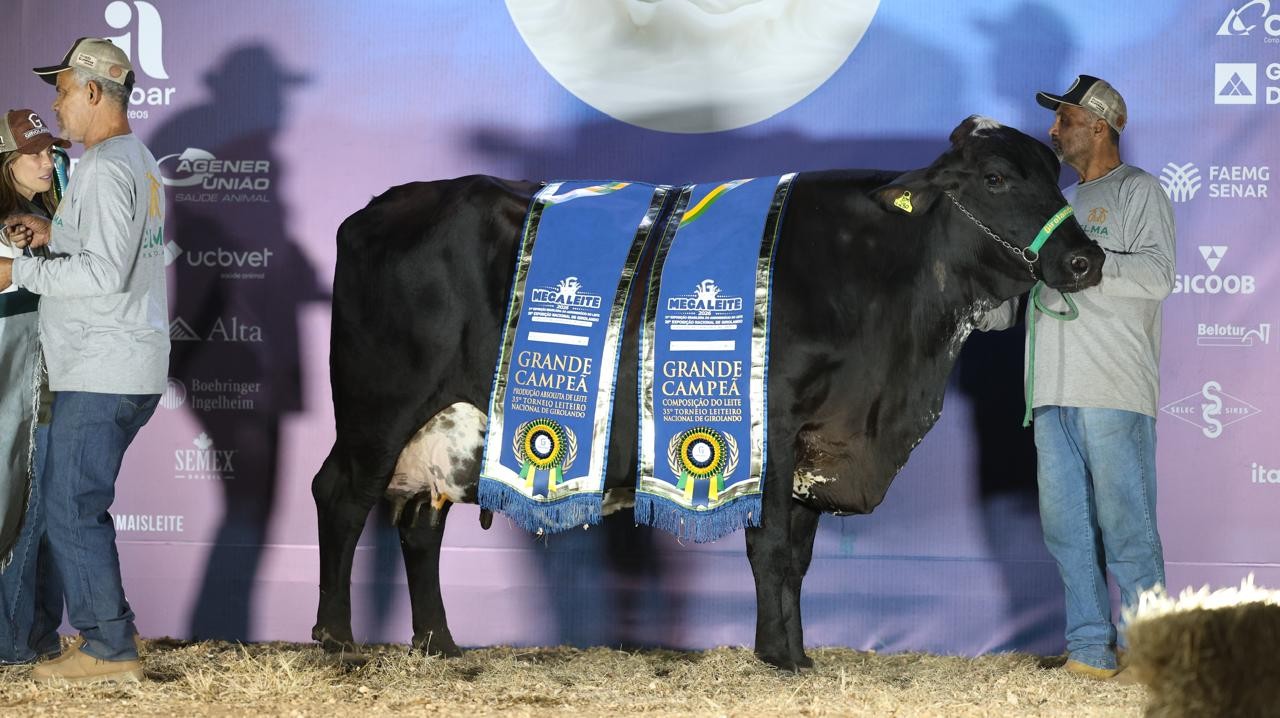 Genética e bem-estar impulsionam recorde na produção de leite no Brasil