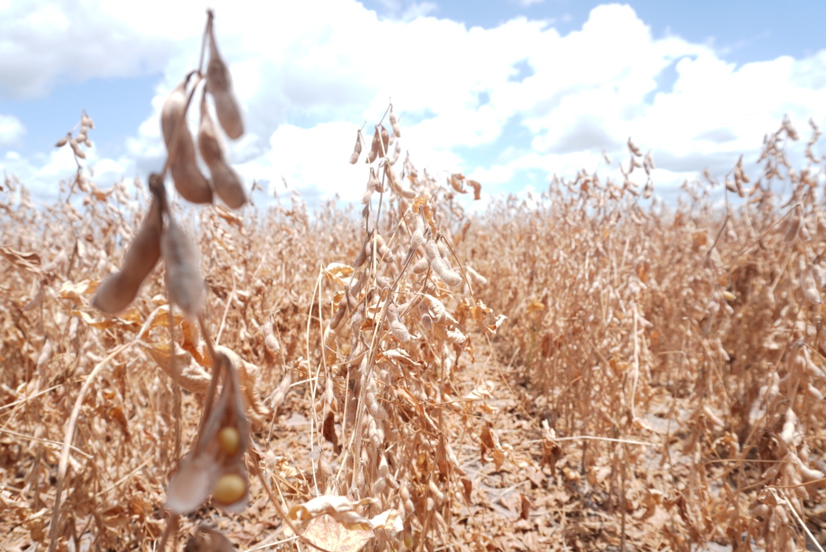Super El Niño coloca em alerta a economia e a infraestrutura da América Latina