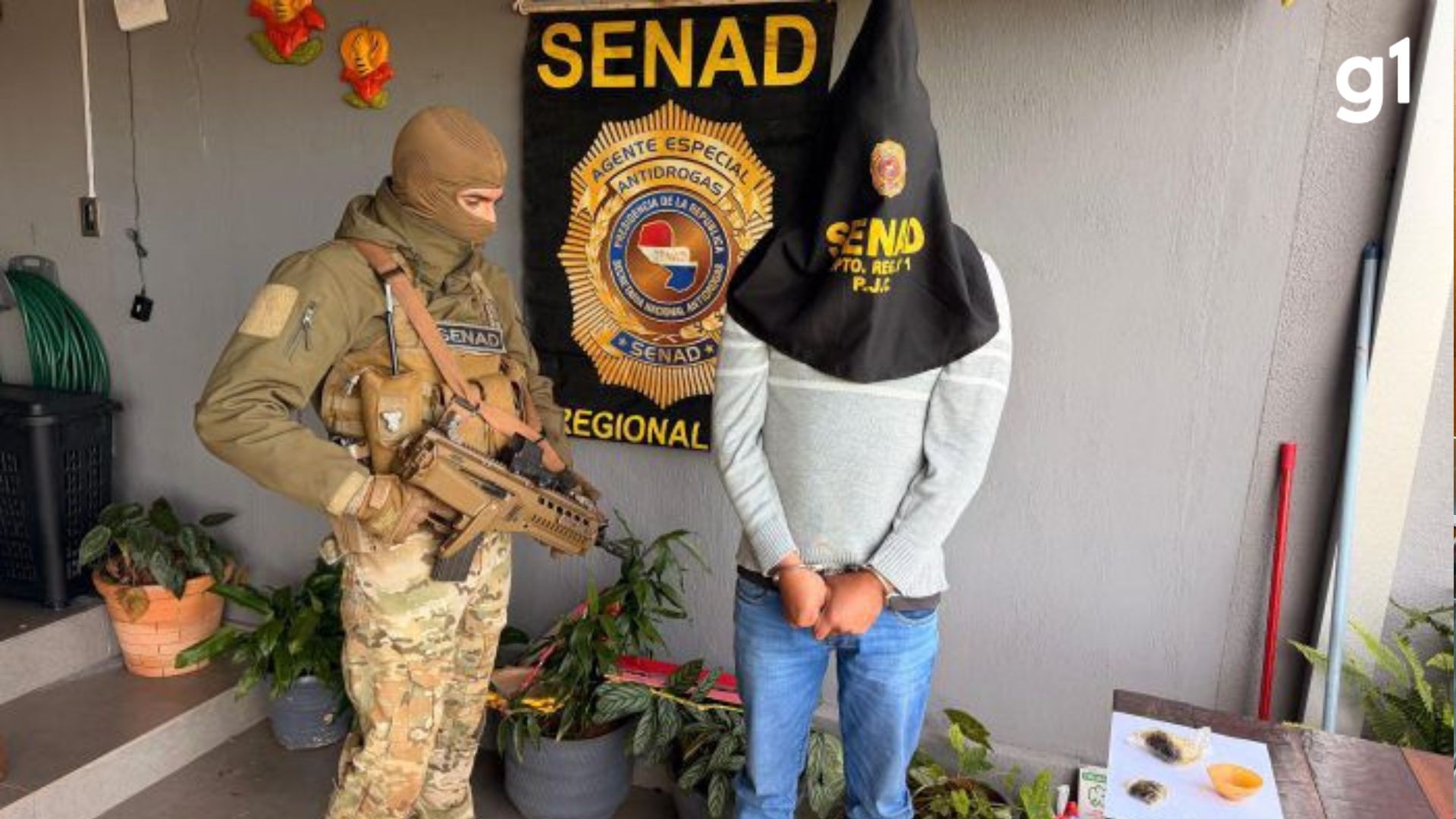 Compra de gás no RS leva Polícia Federal a laboratórios de supermaconha no Paraguai