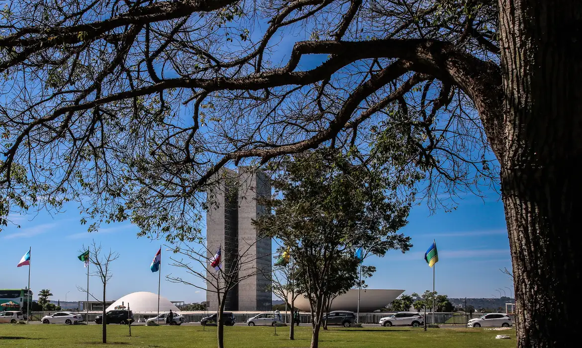 Senado aprova endurecimento da punição para crimes sexuais online contra crianças e adolescentes
