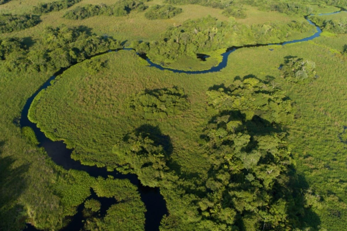 ICMBio discute criação de Refúgio de Vida Silvestre no Delta do Rio Salobra