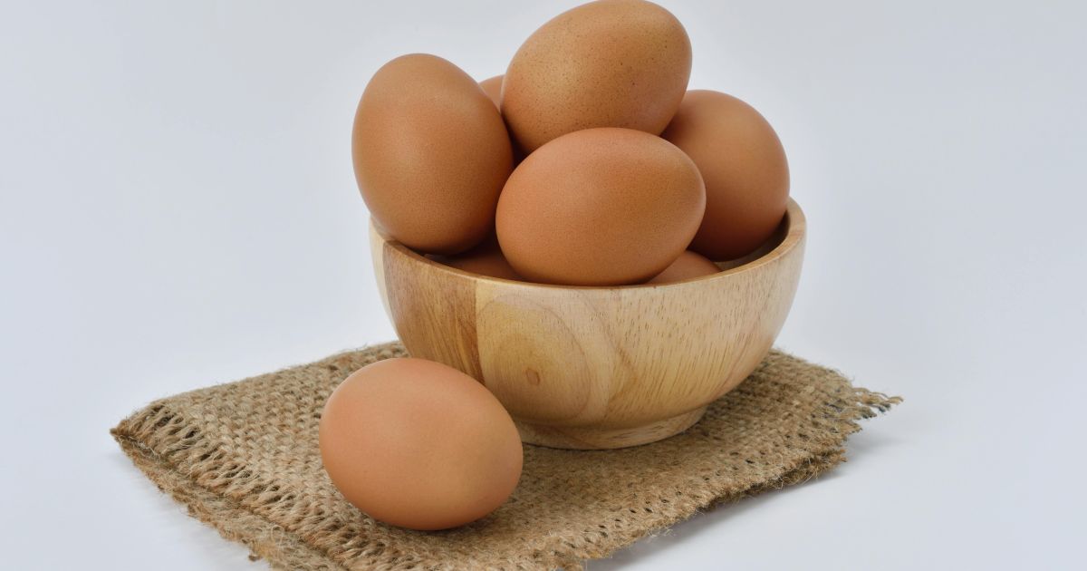 Brasileiros comem 166% mais ovos e Instituto Ovos Brasil prevê novo recorde em 2026