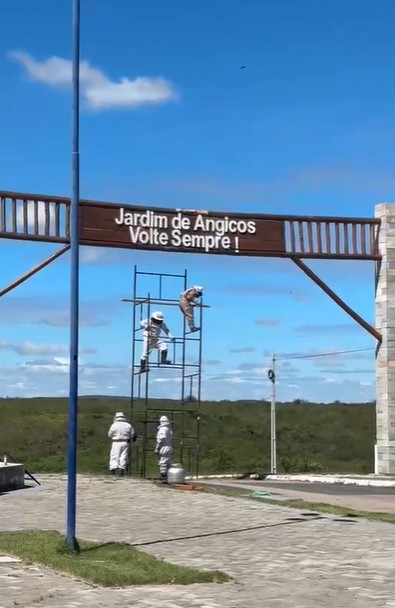 Corpo de Bombeiros resgata enxame de abelhas em Jardim de Angicos