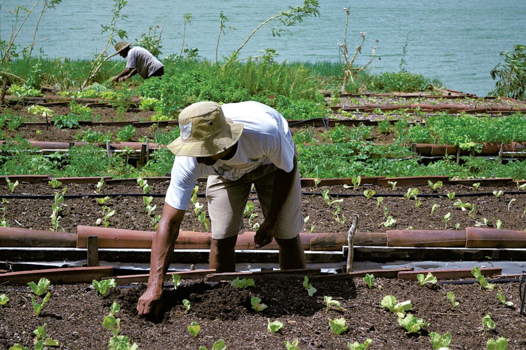 Crédito rural para agricultura familiar alcança R$ 716 milhões no RN