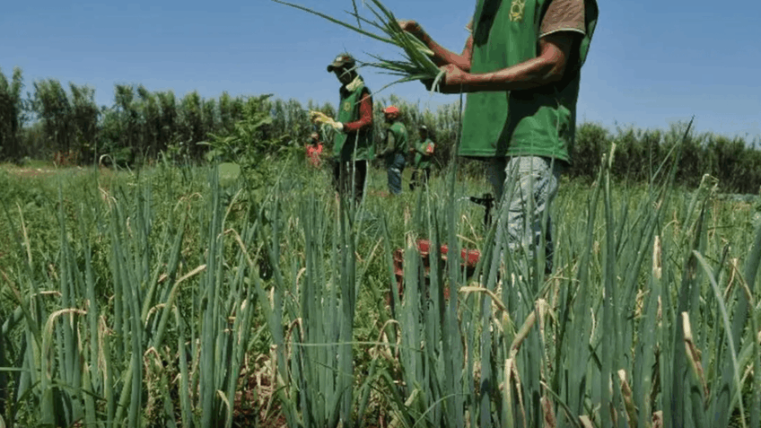 Governo lança Novo Desenrola Rural para 200 mil agricultores