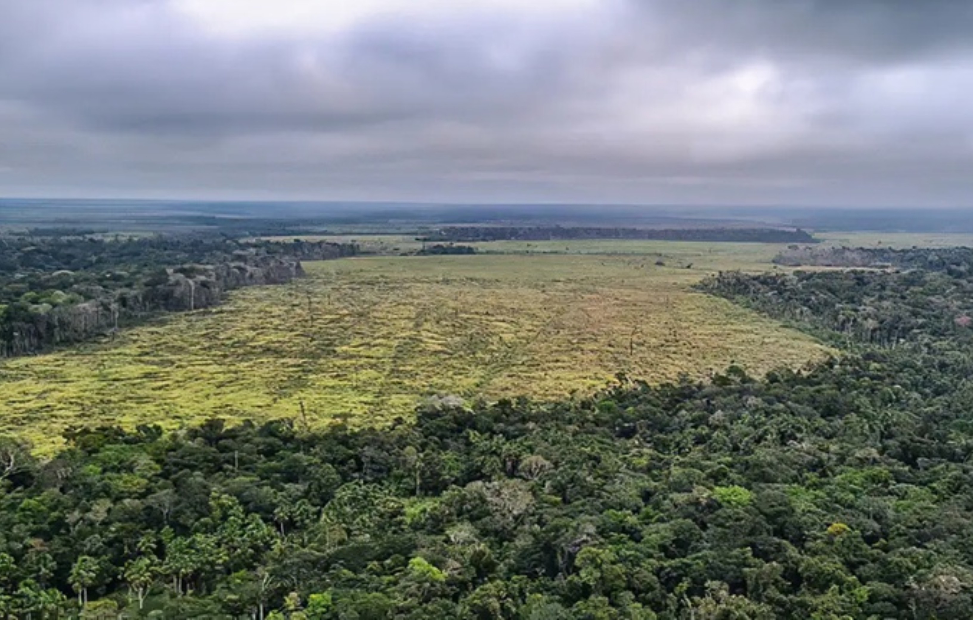TRF1 mantém multa milionária por desmatamento em Roraima