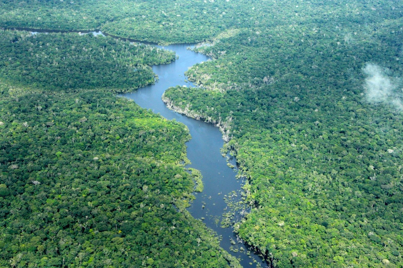Desmatamento no Amazonas cai 57% nos primeiros meses de 2026, aponta Inpe