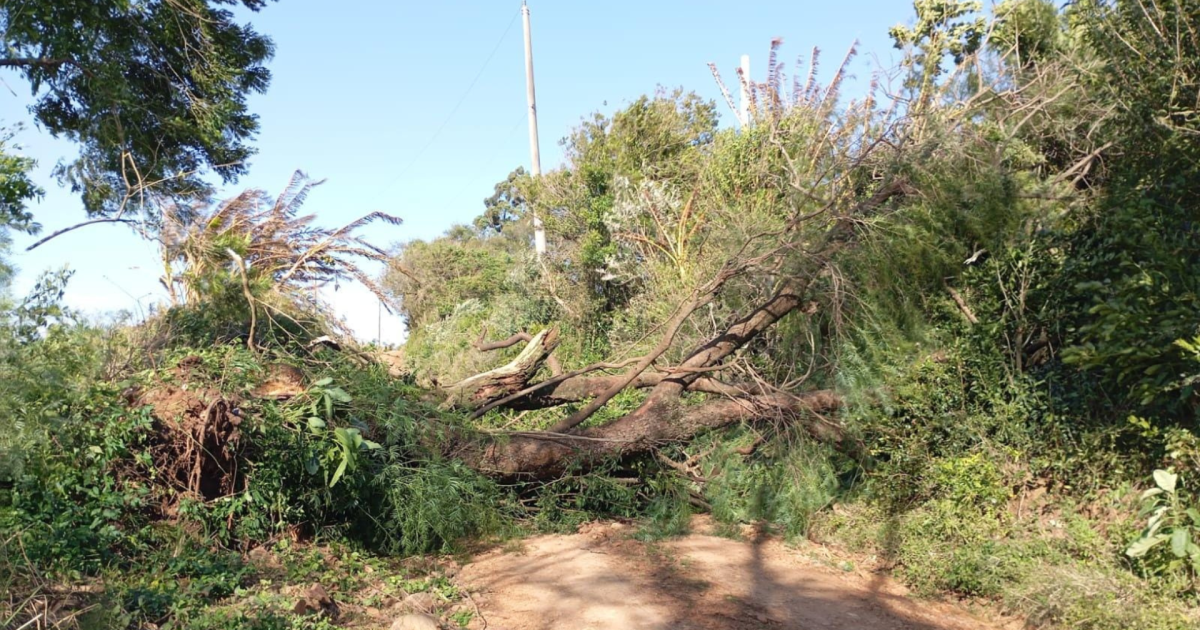 Tempestades atingem 41 municípios e deixam desalojados no Rio Grande do Sul