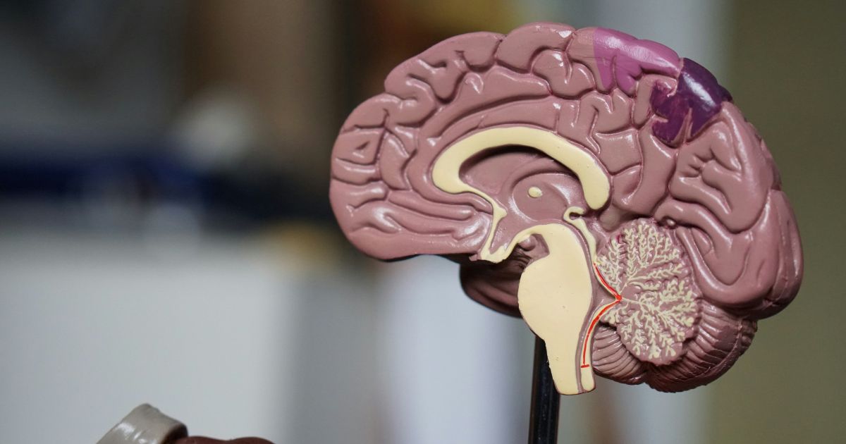 Dia Nacional da Saúde destaca a importância da preservação cognitiva