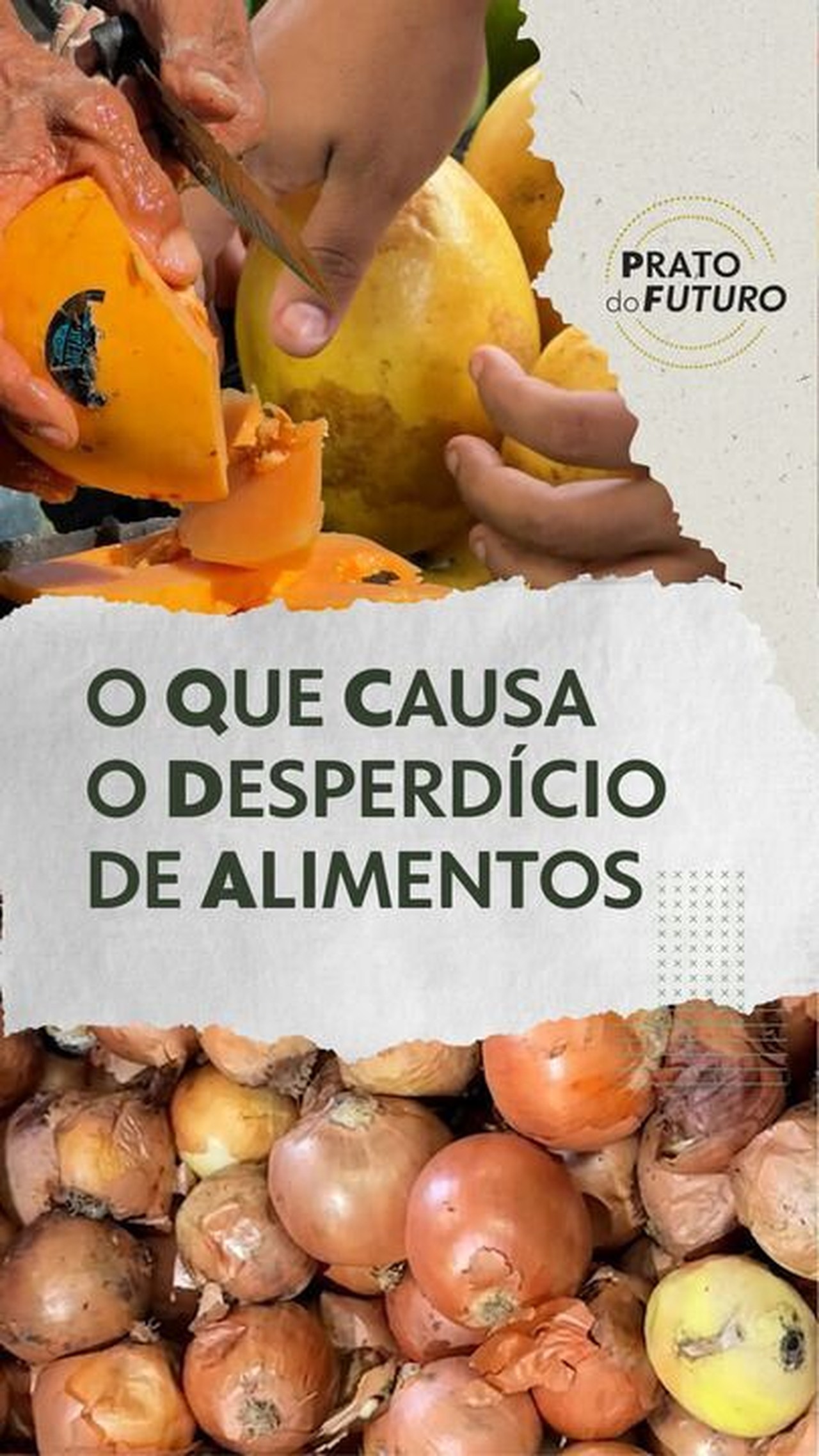 Desperdício de alimentos no Brasil: problema em todas as etapas impacta quem tem fome